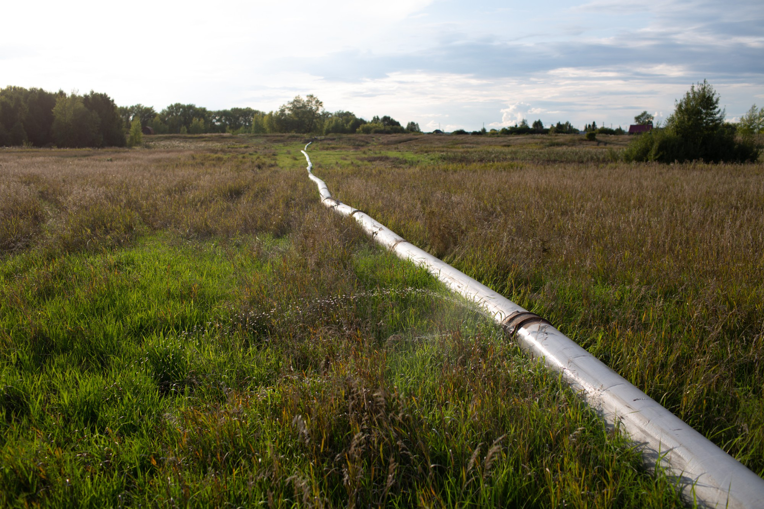 Water Line Replacement in University Place, WA